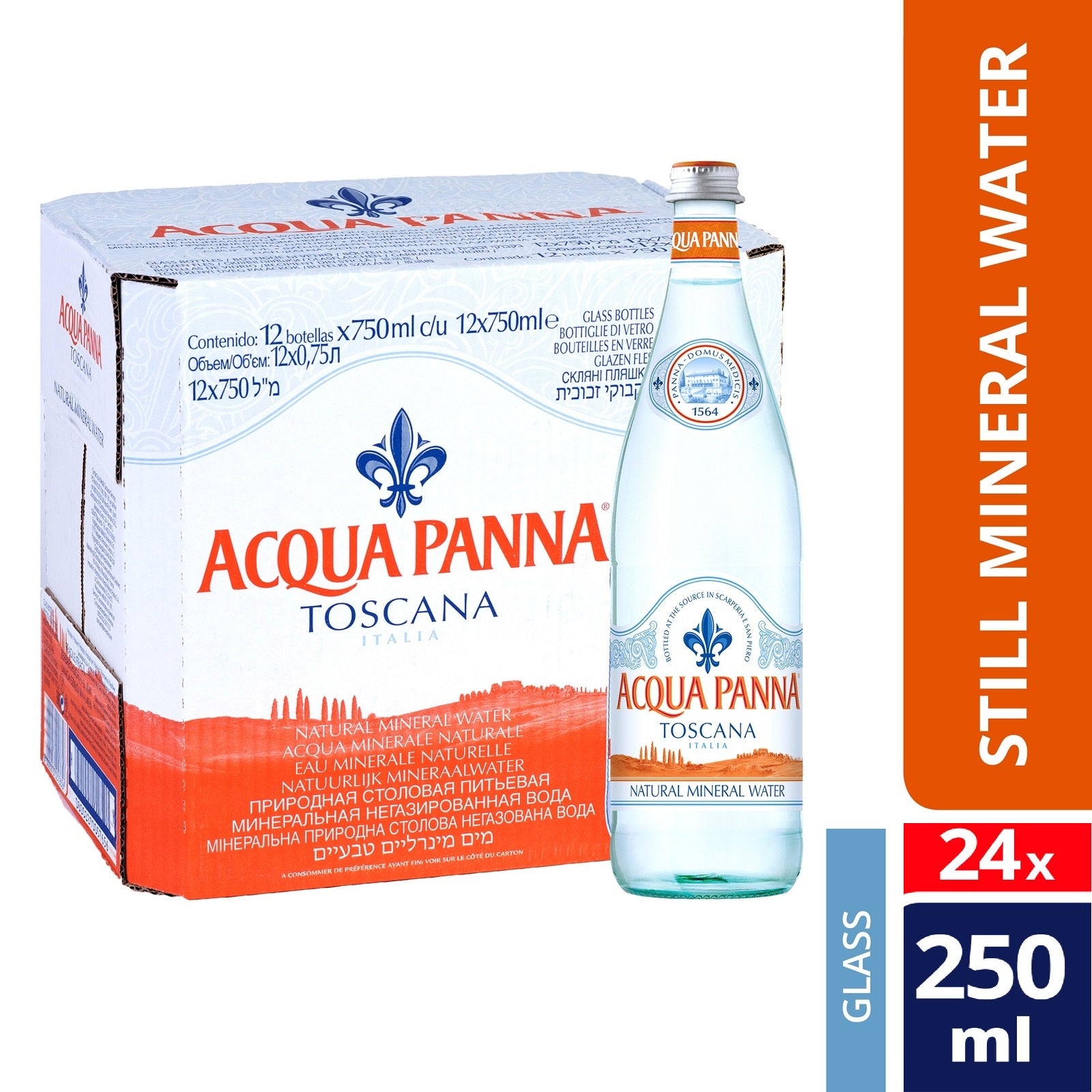 Acqua Panna Still Mineral Water (24 x 250ml) BBD: Jan 2026