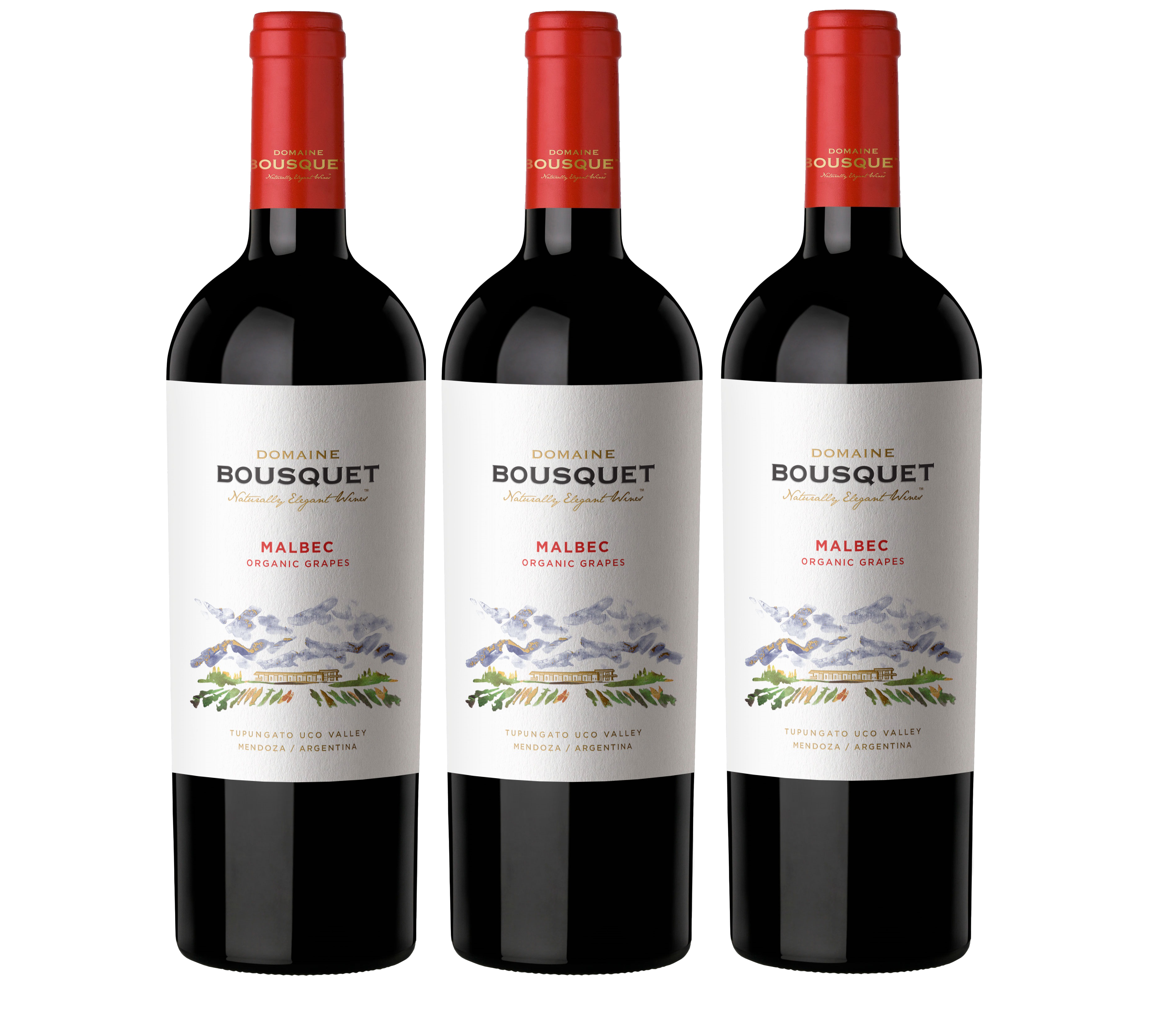 Buy Domaine Bousquet Malbec 2019 750ml Case of 3 Online in